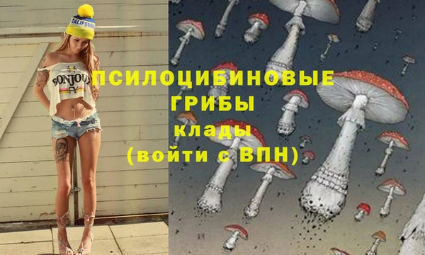 прущие крисы Абдулино