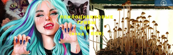 прущие крисы Абдулино