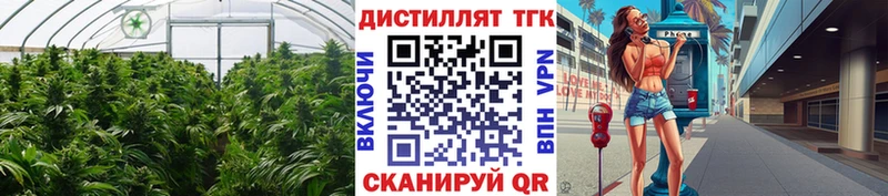 Дистиллят ТГК Wax  Майский 