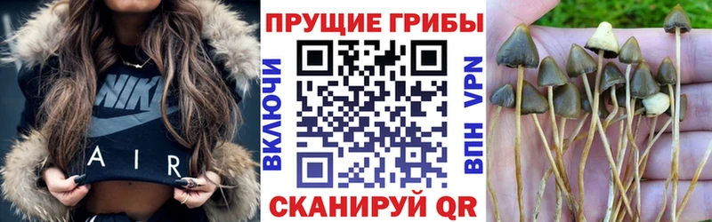 купить наркоту Майский Галлюциногенные грибы прущие грибы