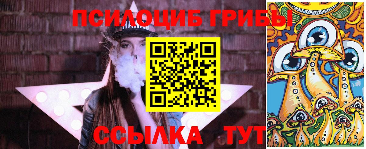 Псилоцибиновые грибы Cubensis Майский